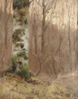 Waldinneres im Morgennebel