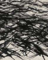 Ohne Titel (Landschaft)