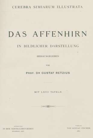 Retzius, G. (Herausgeber). - photo 1