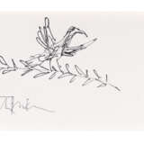 Quentin Blake (b. 1932) - Foto 1