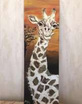 Safari Safari