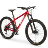 A LIMITED EDITION HARDTAIL MOUNTAIN BIKE - photo 3