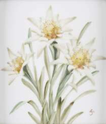 PORZELLANBILDPLATTE 'EDELWEISS' Deutsch, Rosenthal, 20. Jahrhundert