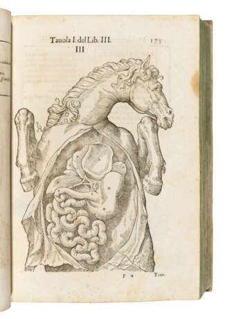 Carlo Ruini (c1530-1598) - фото 1
