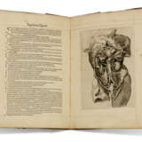 Andreas Vesalius (1514-1564) - фото 2