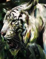 Albino Tiger Albino Tiger