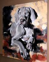 Silver puppy Silver puppy