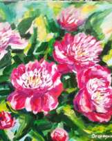 Пионы Пионы