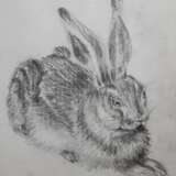 Zeichnung „Junger Hase“, Papier, Bleistift, Akademismus, Animalistisches, 2019 - Foto 1