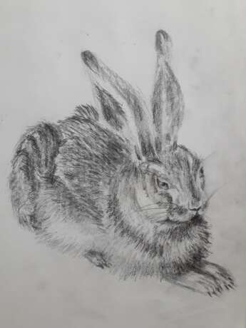 Drawing “Young hare”, Paper, Pencil, Academism, Animalistic, 2019 - photo 1