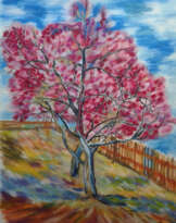 Цветущие персиковые деревья Цветущие персиковые деревья