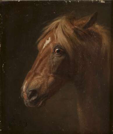 WILHELM CAMPHAUSEN Düsseldorf 1818 - 1885 Detailstudie eines Pferdekopfes - фото 1