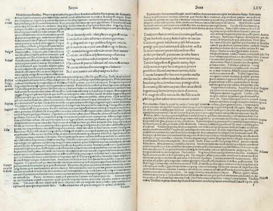 GIOVENALE, Decimo Giunio (ca. 55-135/140) - Iuuenalis cum commento Ioannis Britannici. Venice: [s.e.], 1509. - photo 2