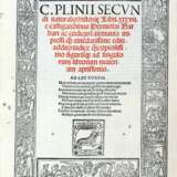 PLINIO, Gaio Secondo (23-79 d.C.) - Naturalis historiae libri XXXVII - Prima pars Plyiniani indicis. Venice: Melchiorre Sessa e Pietro Ravani, 1525. - Foto 1