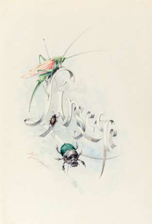 [GIACOMELLI; illustratore] - MICHELET, J. - L'Insecte. Paris: Hachette, 1876. - фото 1