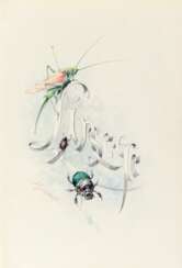 [GIACOMELLI; illustratore] - MICHELET, J. - L'Insecte. Paris: Hachette, 1876. 