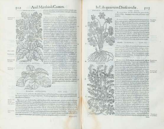 MATTIOLI, Pietro Andrea (1501-1577) - Commentarii in libros sex Pedacii Dioscoridis Anazarbei de medica materia. Venice: in officina Erasmiana, presso Vincenzo Valgrisi, 1554.  - photo 2