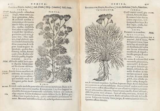 MATTIOLI, Pietro Andrea (1501-1577) - Compendium de plantis omnibus. Venice: Officina Valgrisiana, 1571. - фото 1
