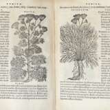 MATTIOLI, Pietro Andrea (1501-1577) - Compendium de plantis omnibus. Venice: Officina Valgrisiana, 1571. - фото 1