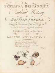 MONTAGU, George (1753-1815) - Testacea Britannica. London: J.S. Hollis, 1803. 