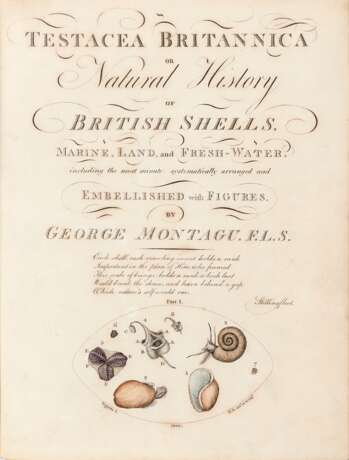 MONTAGU, George (1753-1815) - Testacea Britannica. London: J.S. Hollis, 1803. - фото 1