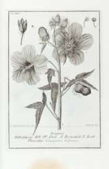 SCOPOLI, Giovanni Antonio (1723-1788) - Deliciae florae et faunae Insubricae