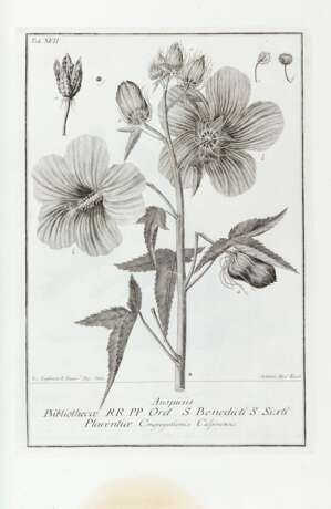 SCOPOLI, Giovanni Antonio (1723-1788) - Deliciae florae et faunae Insubricae - Foto 1