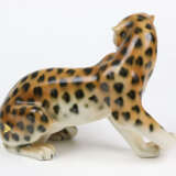 Gepard - photo 2