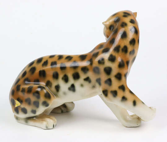 Gepard - Foto 2