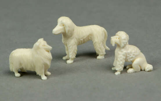 3 Miniaturhunde - Foto 1