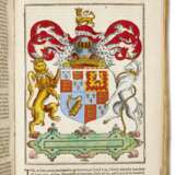English heraldry, hand-colored copy - фото 1