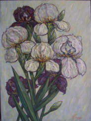Irises - bouquet, white and purple.