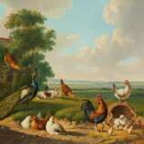 Zwei Gemälde: Hühner und Pfauen auf der Wiese - photo 5