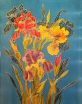 Ирисы Ирисы