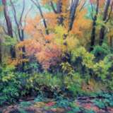 Painting “Autumn colors”, Canvas, Oil paint, Realist, Landscape painting, Ukraine, 2018 - photo 1