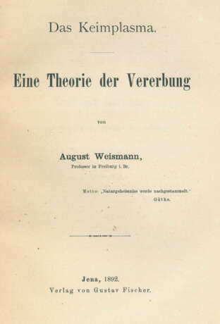 Weismann, A. - фото 1