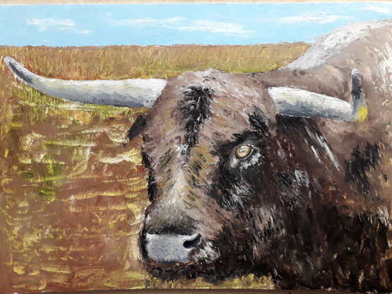 Painting “Bull head”, Cardboard, Oil paint, Impressionist, Animalistic, Russia, 2019 - photo 1
