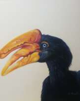 Малайский калао Малайский калао