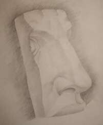 Fragment of the face, nose