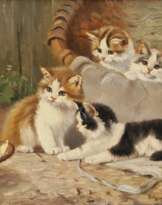 Vier Kätzchen und ein Schmetterling