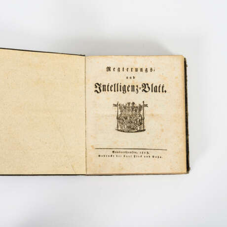 "Regierungs- und Intelligenz-Blatt", Sondershausen, 2 Bände - фото 2