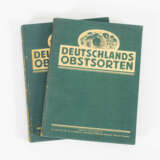  "Deutschlands Obstsorten" - Birnen, 2 Bände - Foto 1
