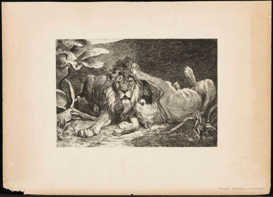 "Löwenpaar" - Foto 1