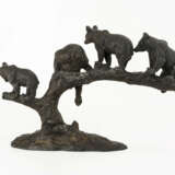 Vier Jungbären auf einem Baum - photo 3