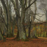 Herbstwald - photo 1