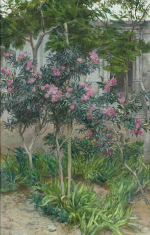 Blühender Oleander und Mimosen - фото 1