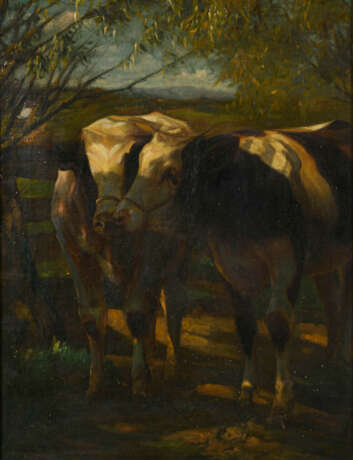 Kühe auf schattiger Weide - Foto 1