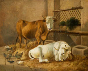 Kühe im Stall-Interieur