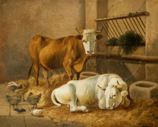 Kühe im Stall-Interieur - photo 1
