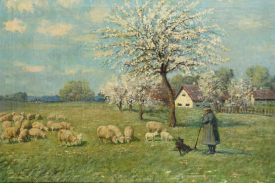 Frühlingswiese mit Schafen - photo 1